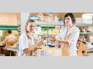 Forschung an der FH Technikum Wien