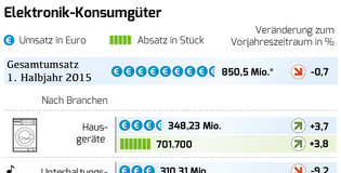 Elektronik-Konsumgüter Halbjahr 2015 Umsatz